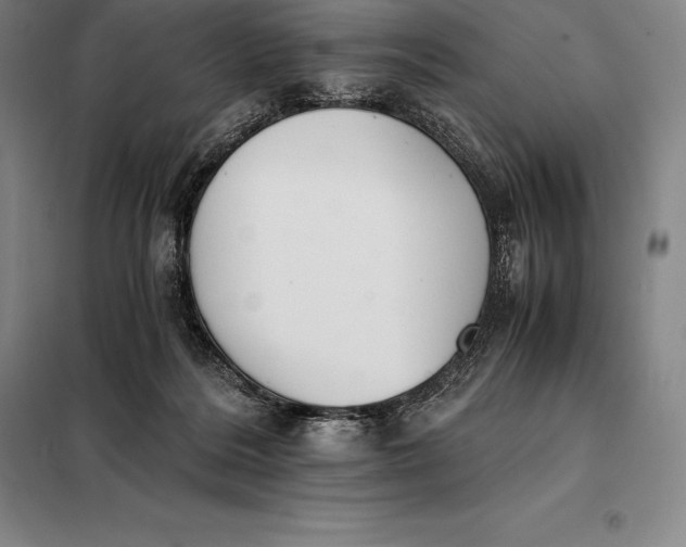 X0000098140220200805011351