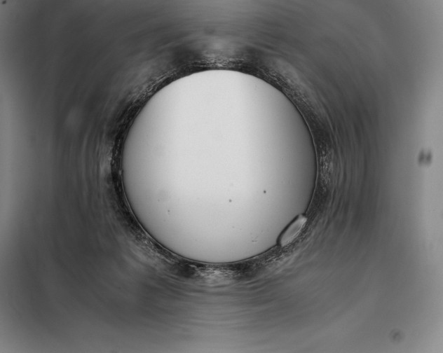 X0000098140221200805011351