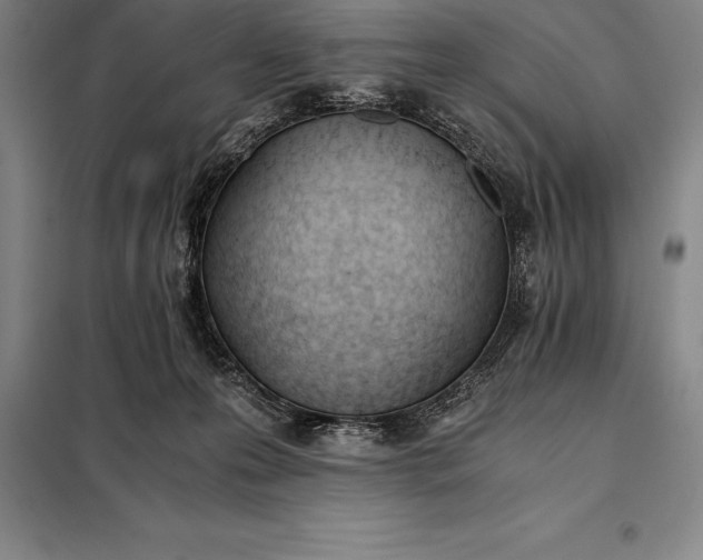X0000098140223200805011351