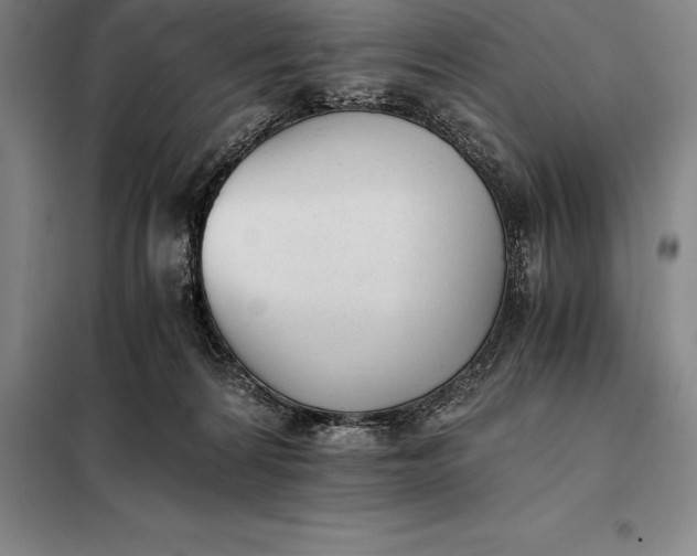 X0000098140224200805011351