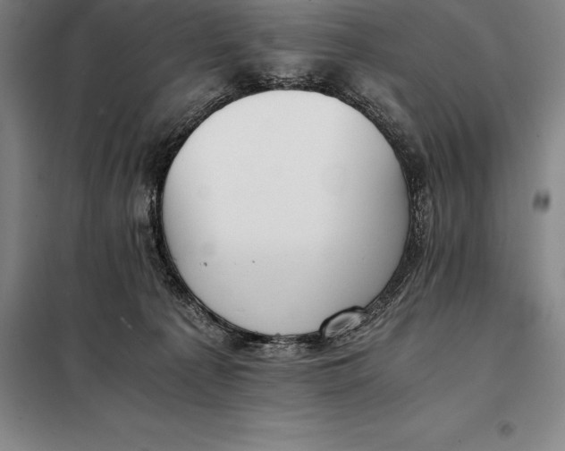 X0000098140225200805011351