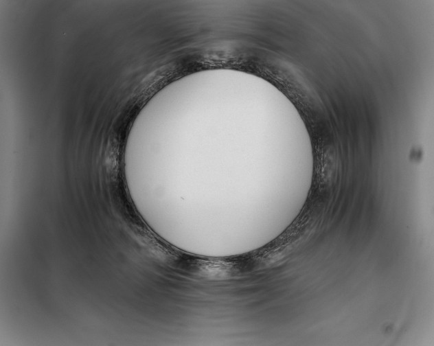 X0000098140226200805011351