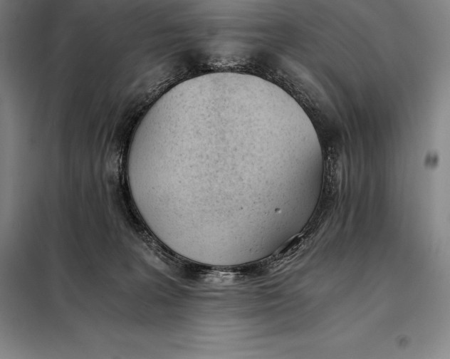 X0000098140227200805011351