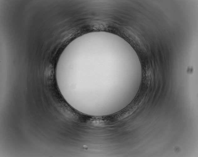 X0000098140228200805011351