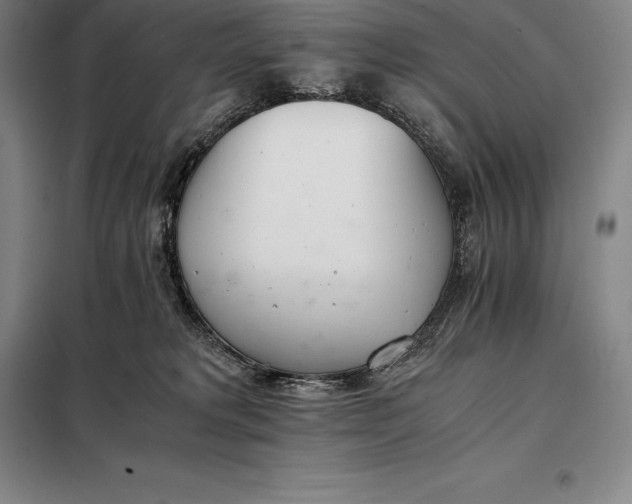 X0000098140229200805011351