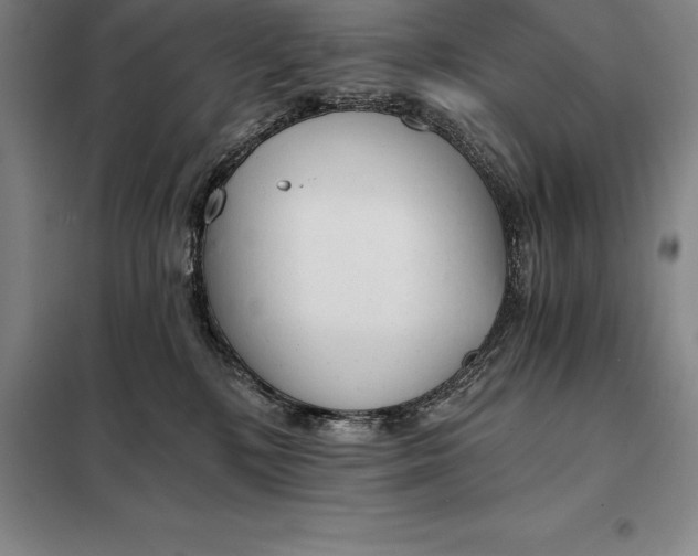 X0000098140232200805011351