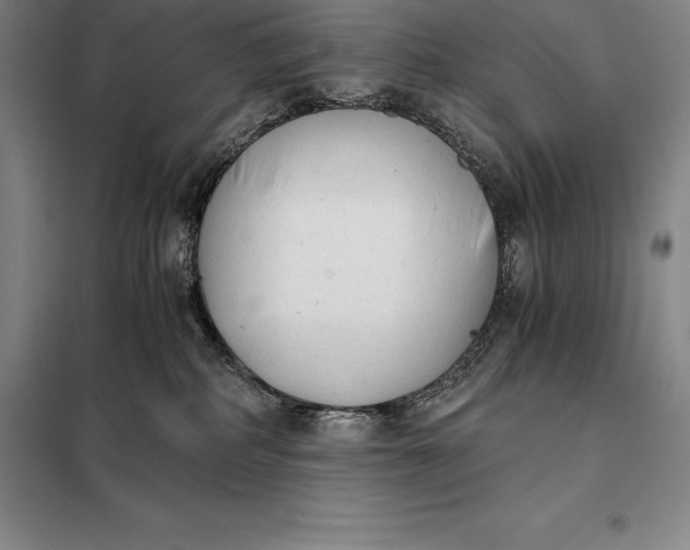 X0000098140234200805011351