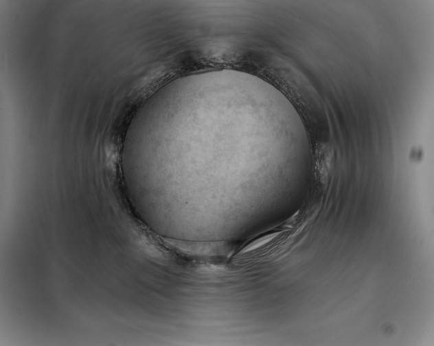 X0000098140235200805011351