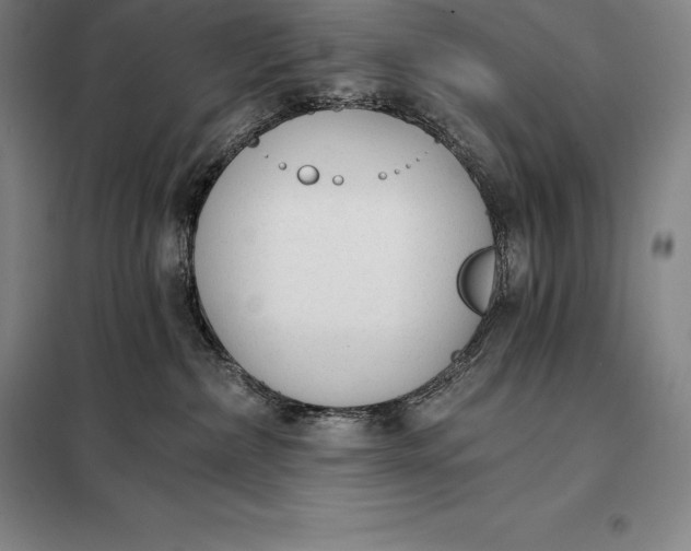 X0000098140236200805011351