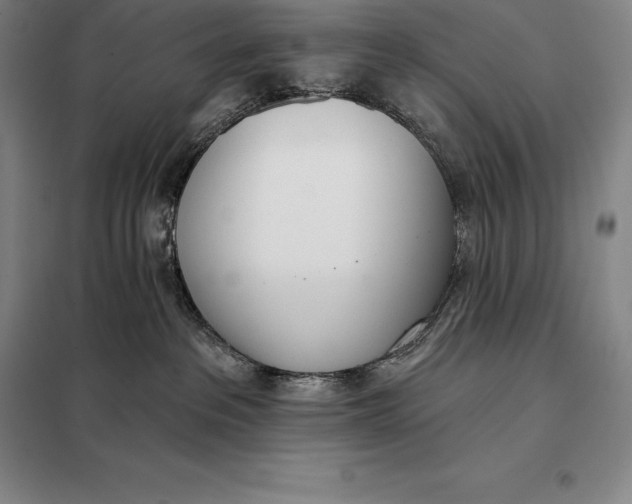 X0000098140237200805011351