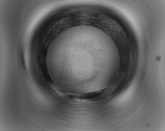 X0000098140239200805011351