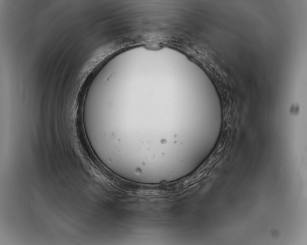 X0000098140242200805011350