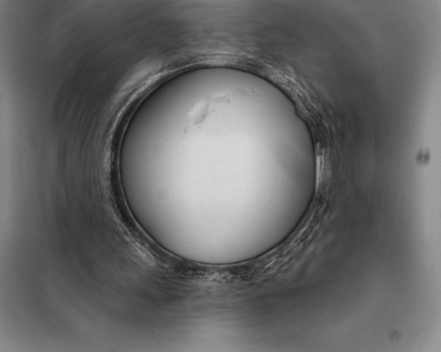 X0000098140243200805011350