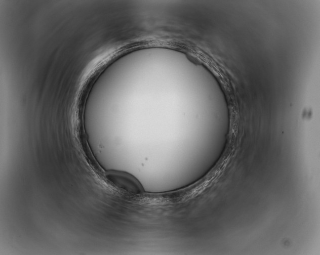 X0000098140245200805011350