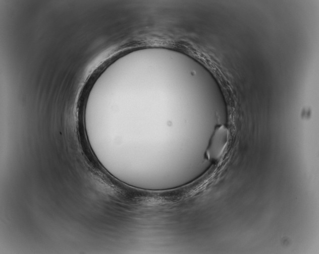 X0000098140246200805011350