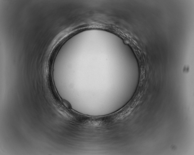 X0000098140247200805011350
