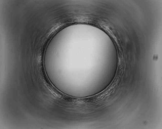 X0000098140249200805011350