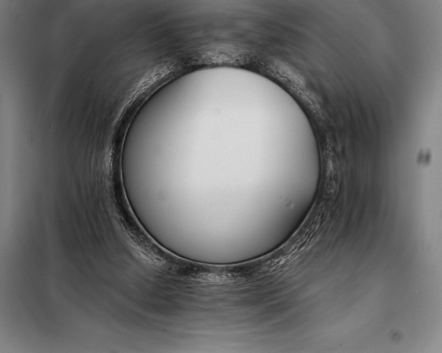 X0000098140250200805011350