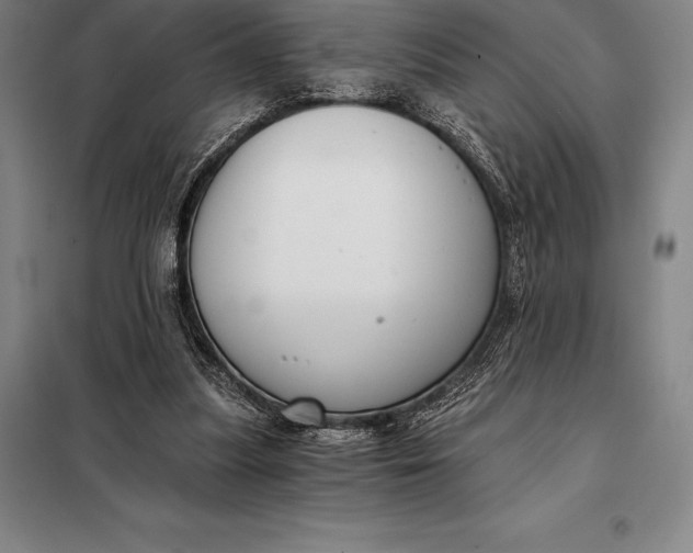 X0000098140251200805011350