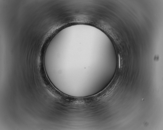 X0000098140252200805011350