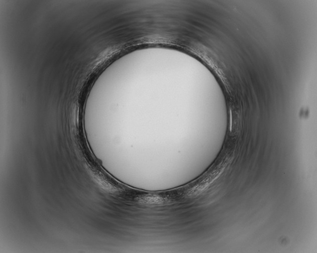 X0000098140253200805011350