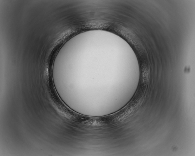 X0000098140254200805011351