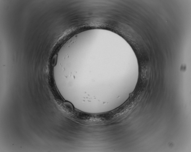 X0000098140256200805011351