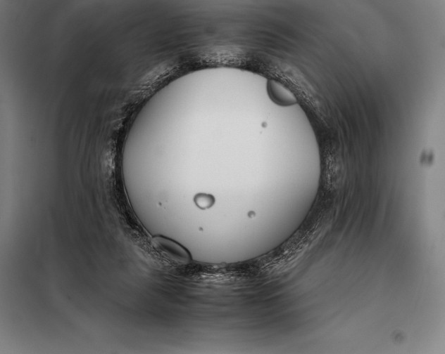 X0000098140259200805011351