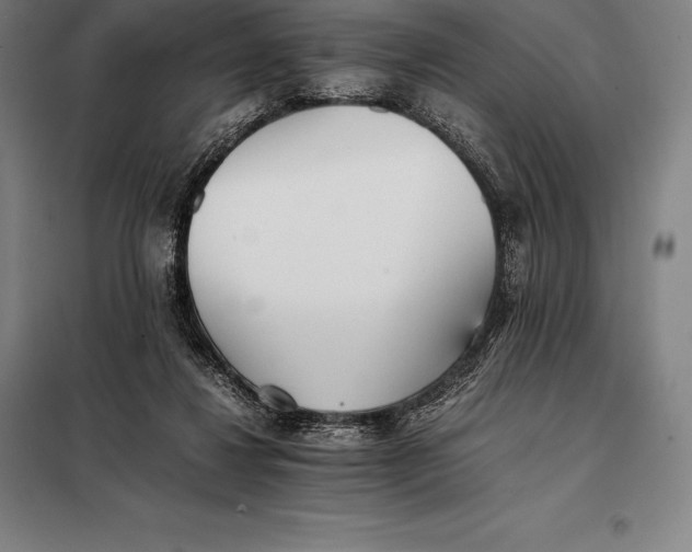 X0000098140260200805011351
