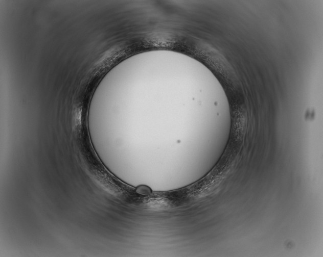 X0000098140262200805011351