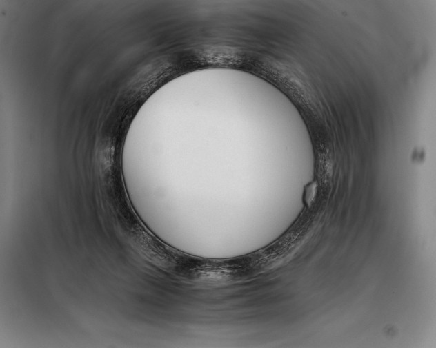 X0000098140263200805011351