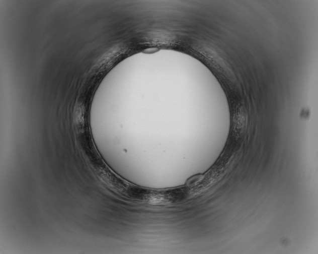 X0000098140264200805011351