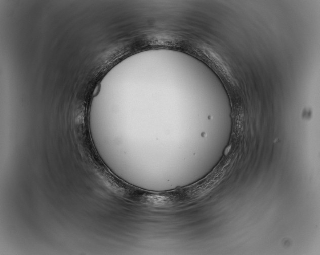 X0000098140265200805011351