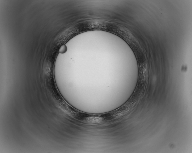 X0000098140266200805011351