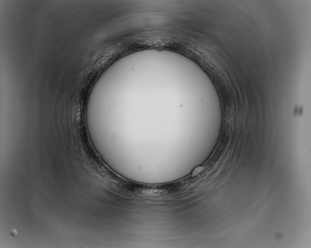 X0000098140268200805011351