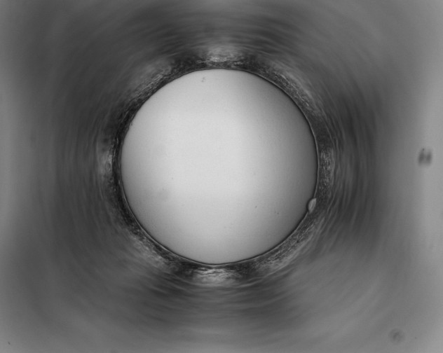 X0000098140269200805011351