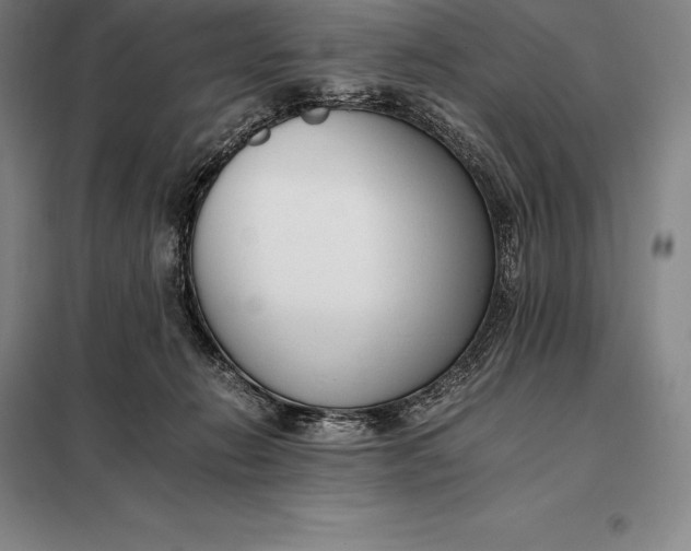 X0000098140270200805011351