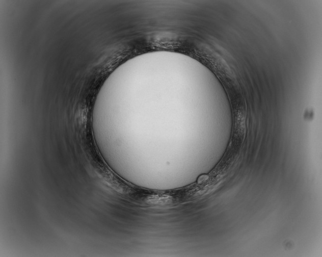 X0000098140271200805011351