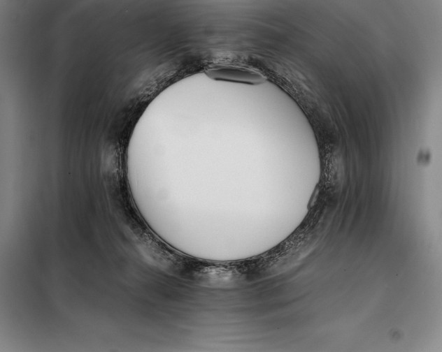 X0000098140272200805011351