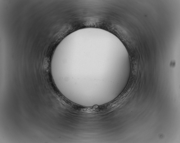 X0000098140273200805011351