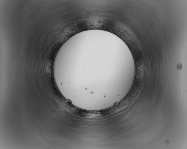 X0000098140274200805011351