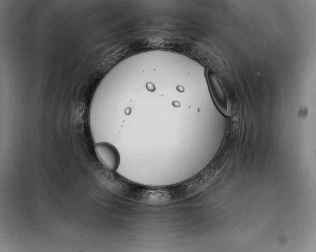 X0000098140275200805011351