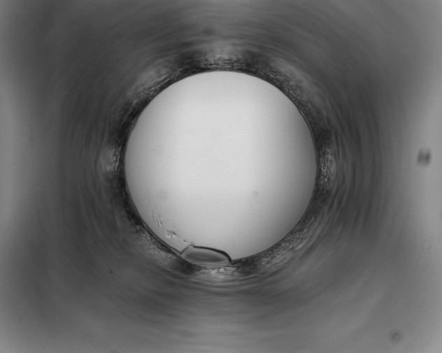 X0000098140278200805011351