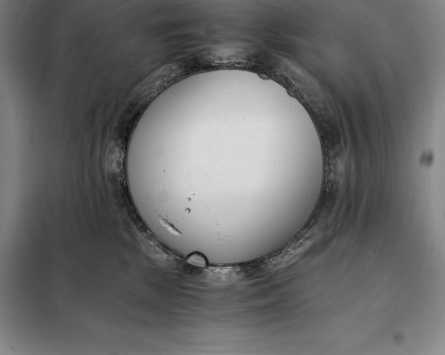 X0000098140281200805011351