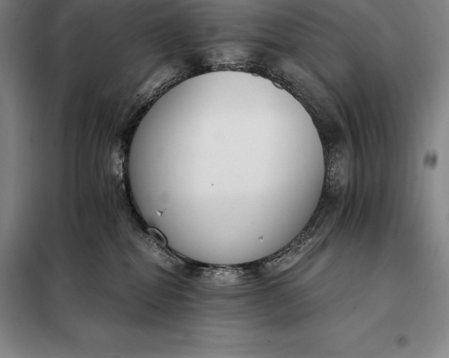 X0000098140282200805011351