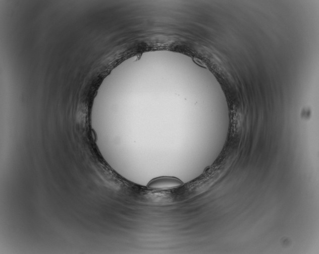 X0000098140283200805011351