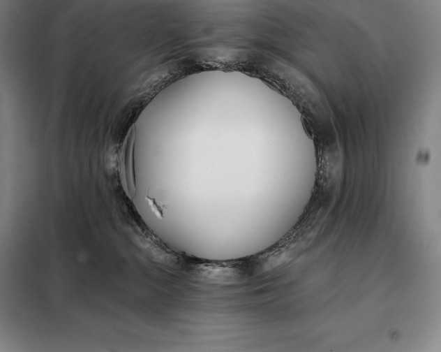 X0000098140284200805011351