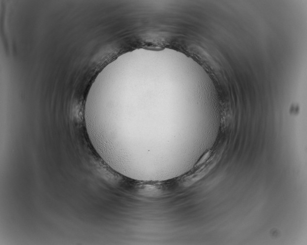 X0000098140285200805011351