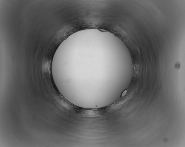 X0000098140286200805011351