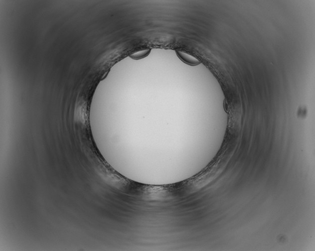 X0000098140287200805011351